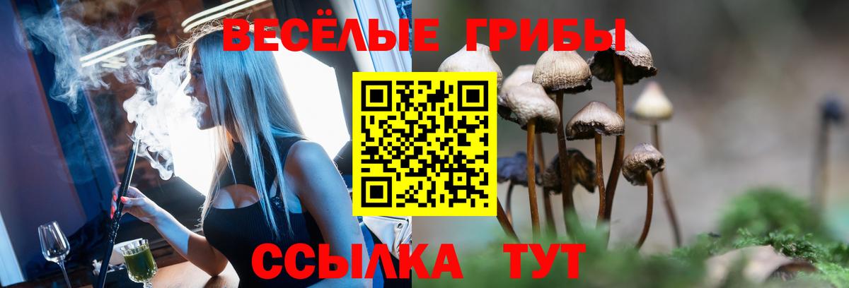 Галлюциногенные грибы Psilocybine cubensis  Вход с VPN  купить закладку  Нефтекамск 